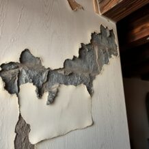 Jak rozpoznać wilgoć od kondensacji w starym domu i kiedy sięgnąć po profesjonalną diagnostykę