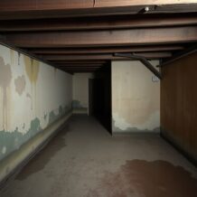 Jak ocenić stan piwnicy w starym domu: kluczowe sygnały wilgoci, konstrukcji i wentylacji przed remontem
